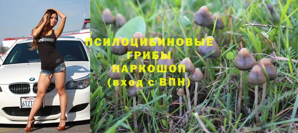 дживик Волосово